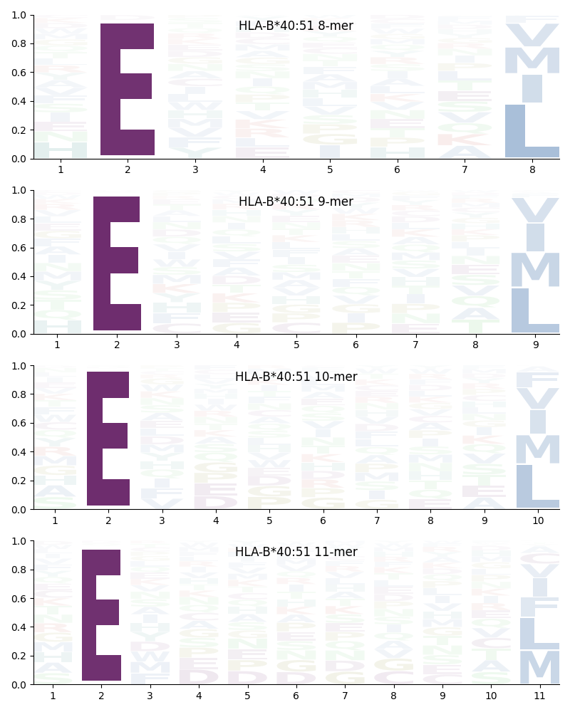 HLA-B*40:51 motif