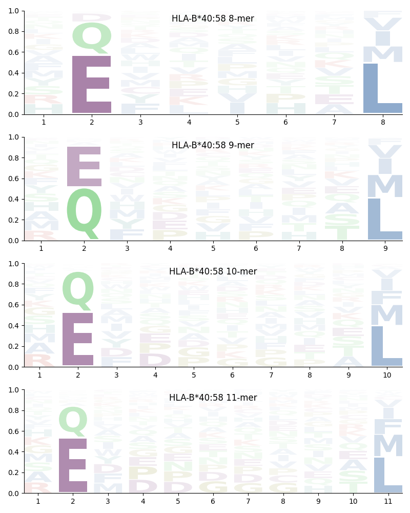 HLA-B*40:58 motif