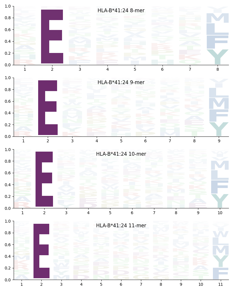 HLA-B*41:24 motif