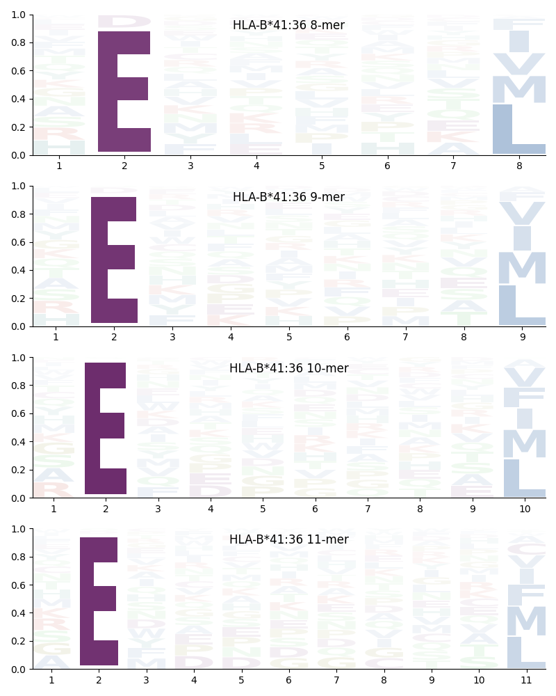 HLA-B*41:36 motif