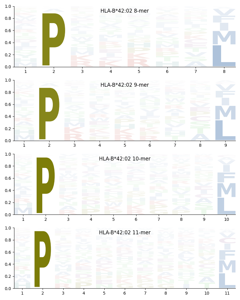 HLA-B*42:02 motif