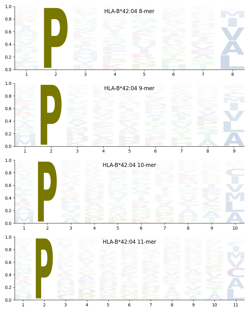 HLA-B*42:04 motif