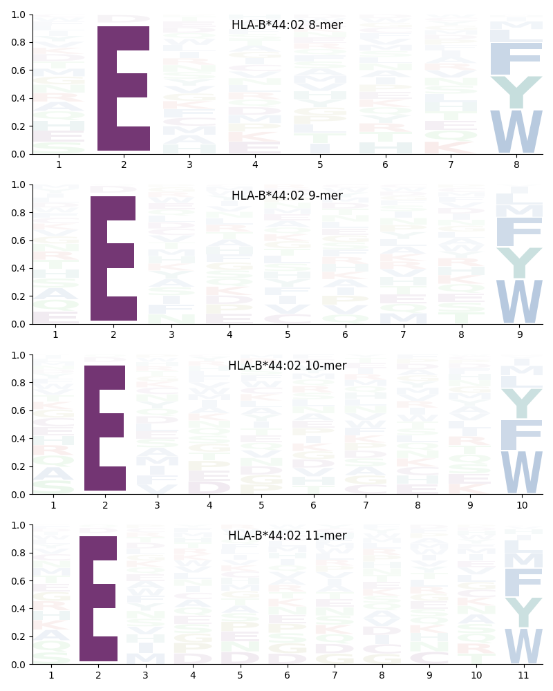 HLA-B*44:02 motif