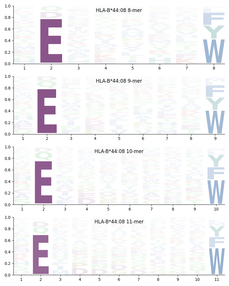 HLA-B*44:08 motif