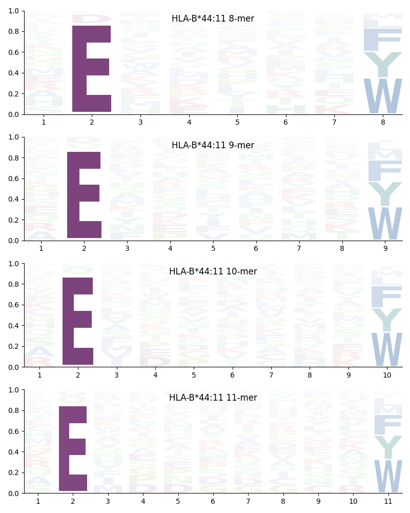 HLA-B*44:11 motif