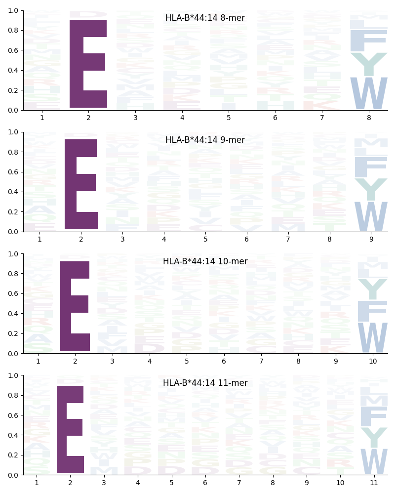 HLA-B*44:14 motif