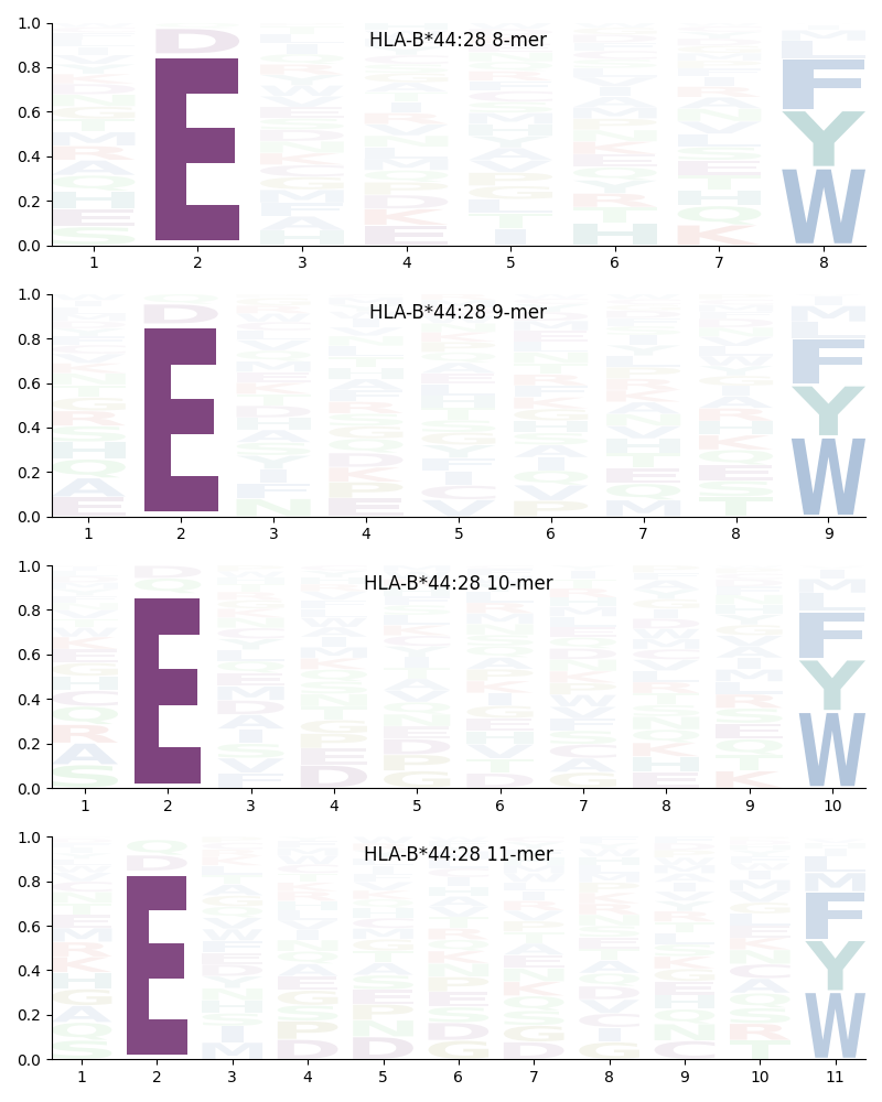 HLA-B*44:28 motif