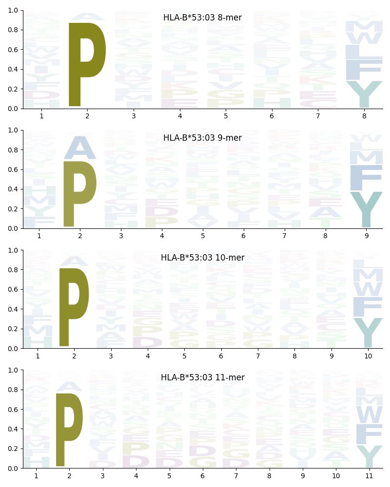 HLA-B*53:03 motif