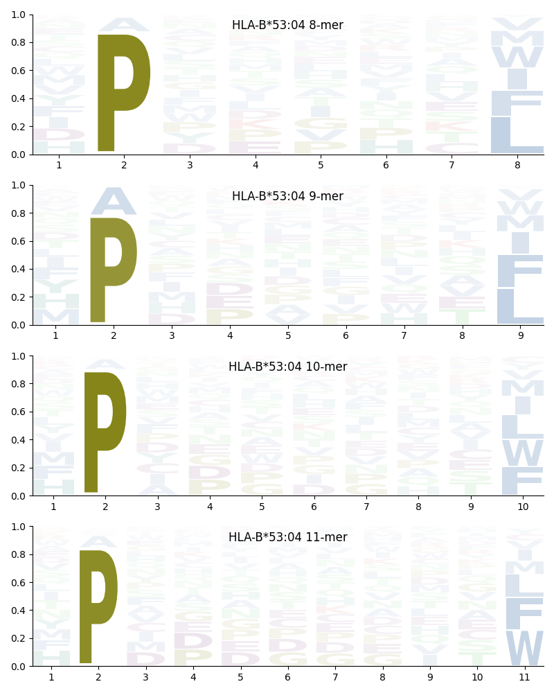 HLA-B*53:04 motif