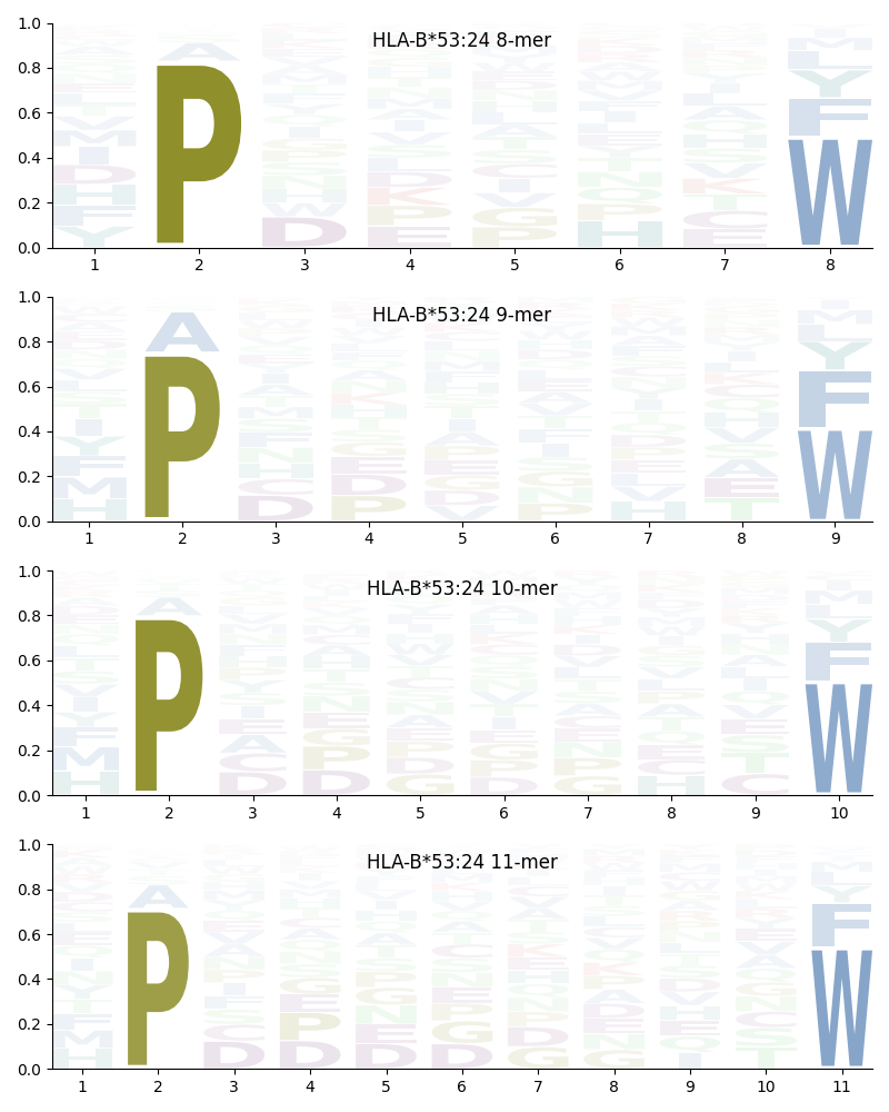 HLA-B*53:24 motif