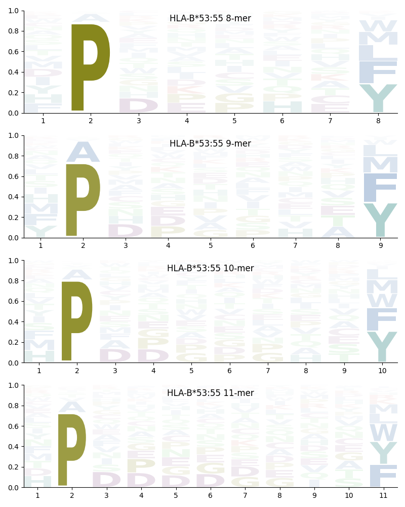 HLA-B*53:55 motif