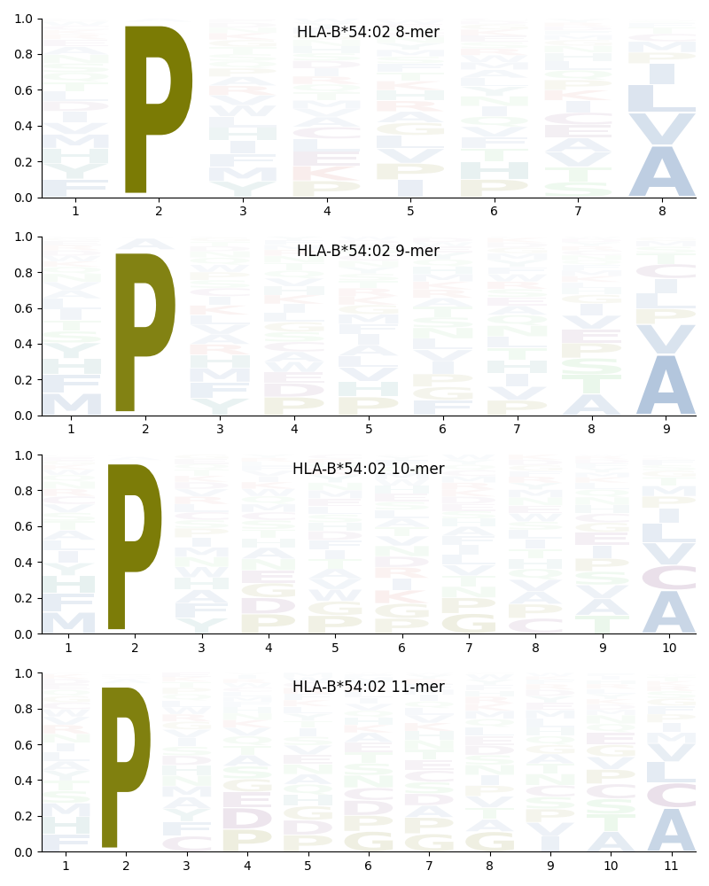 HLA-B*54:02 motif