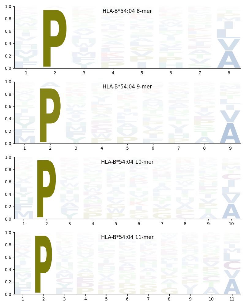 HLA-B*54:04 motif