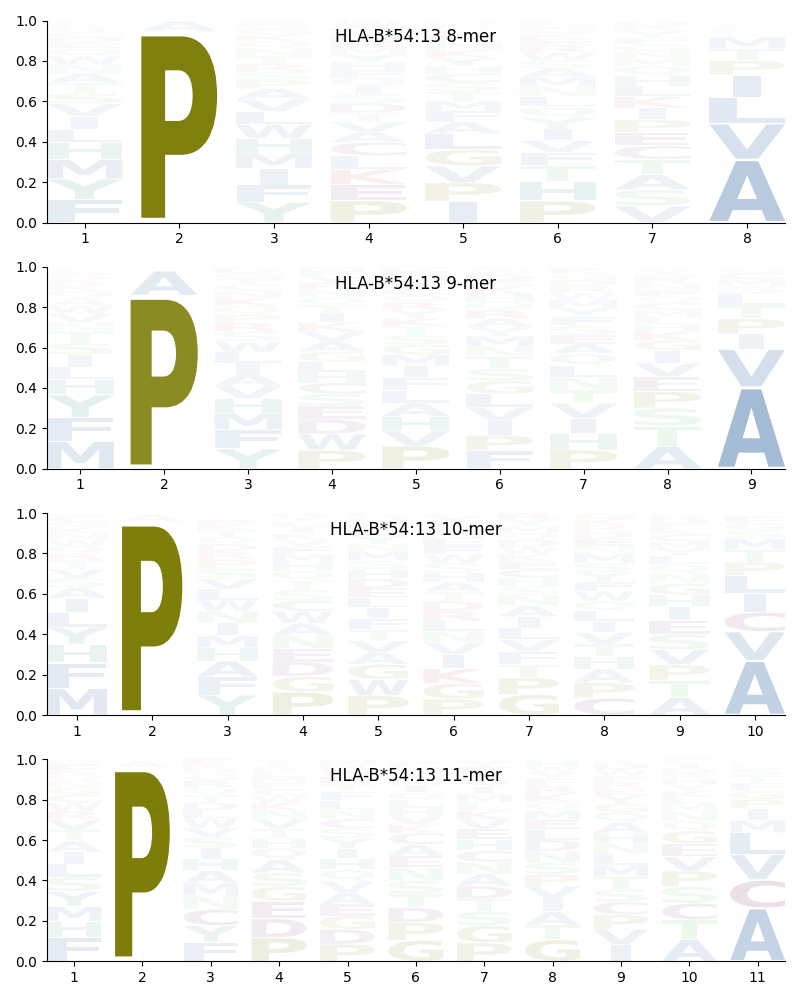 HLA-B*54:13 motif