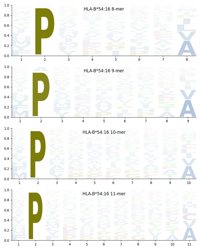 HLA-B*54:16 motif