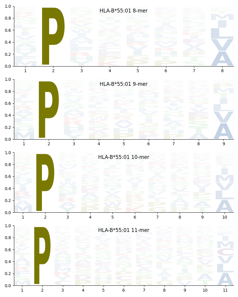 HLA-B*55:01 motif