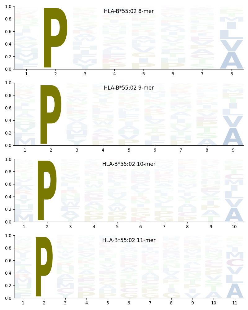 HLA-B*55:02 motif