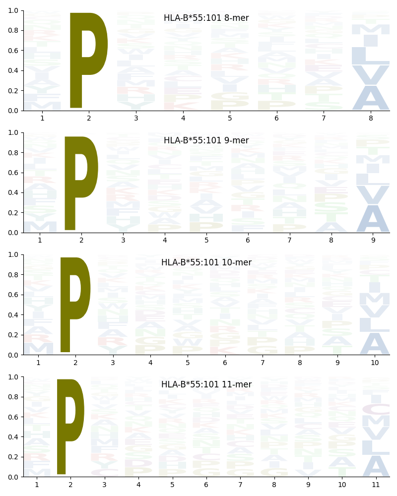 HLA-B*55:101 motif