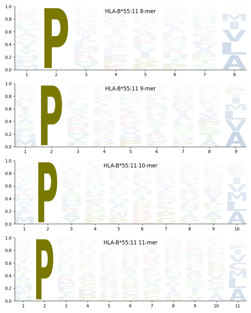 HLA-B*55:11 motif