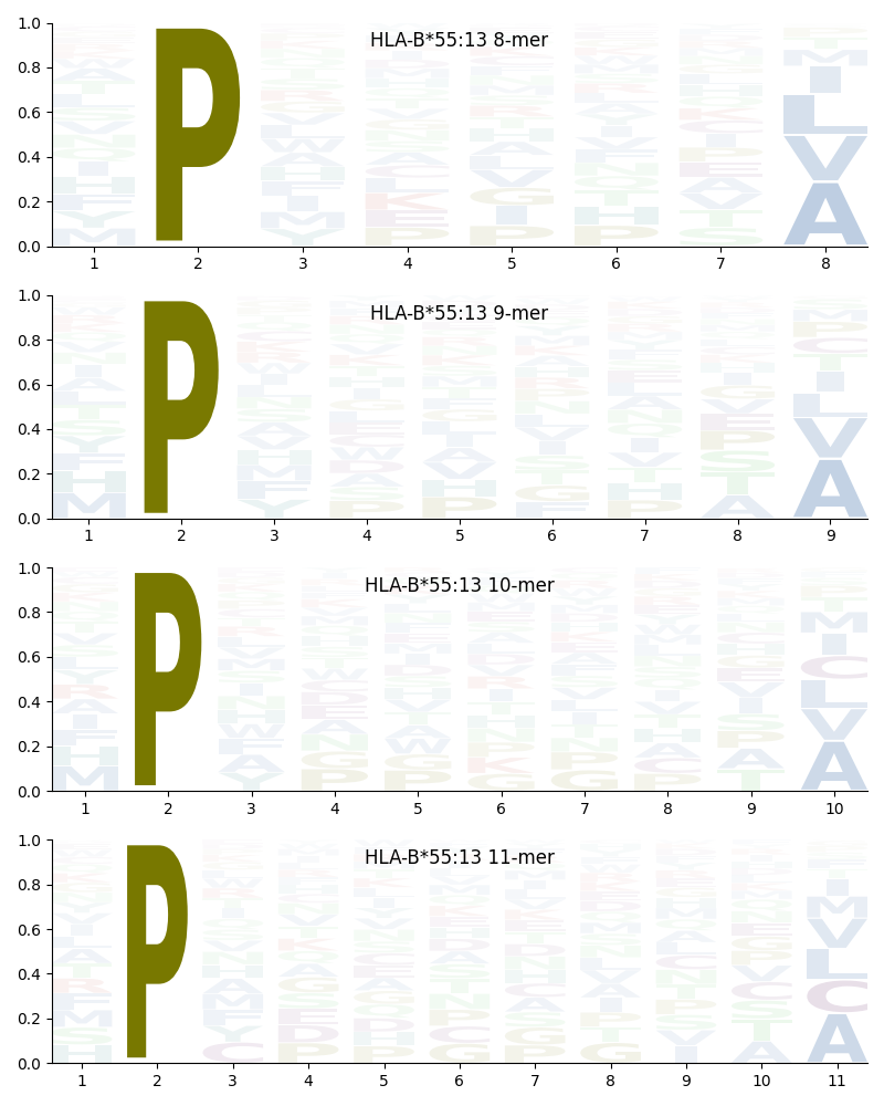 HLA-B*55:13 motif