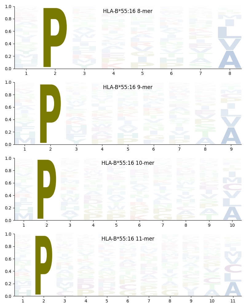 HLA-B*55:16 motif