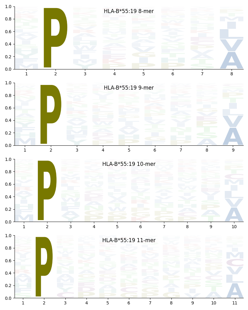 HLA-B*55:19 motif