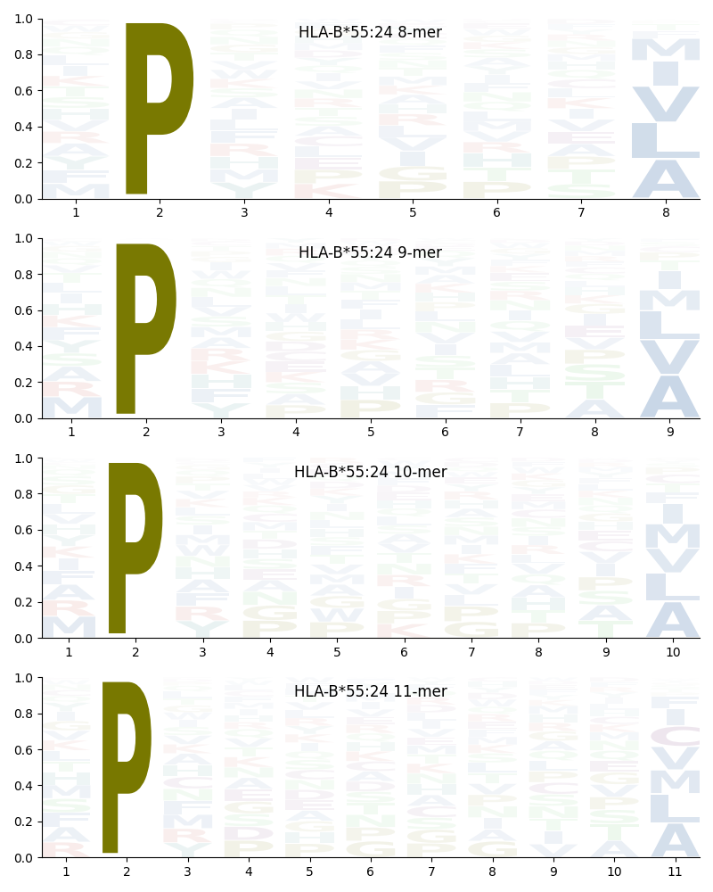 HLA-B*55:24 motif