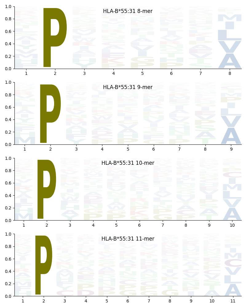 HLA-B*55:31 motif