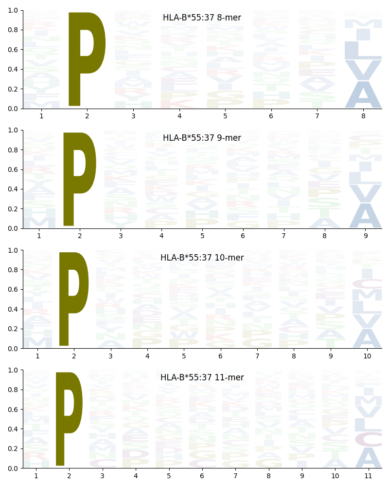 HLA-B*55:37 motif