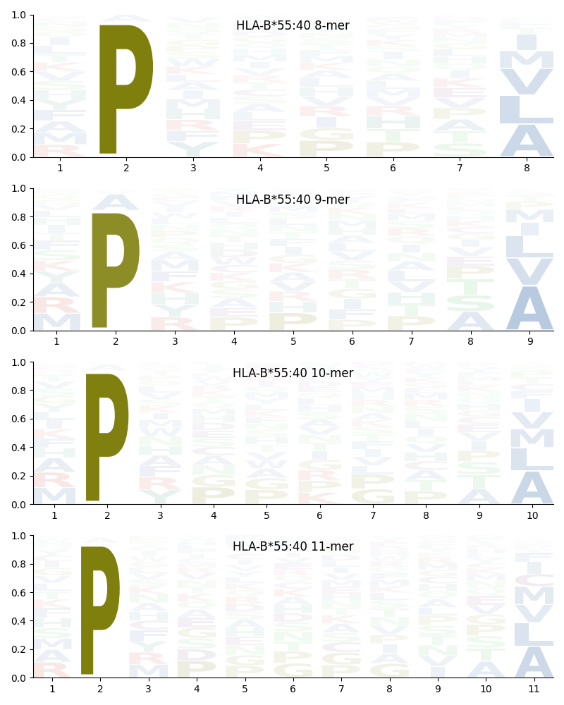 HLA-B*55:40 motif