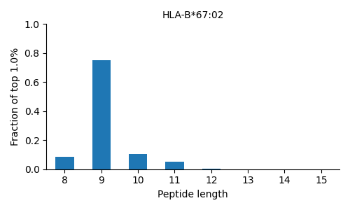 HLA-B*67:02 length distribution