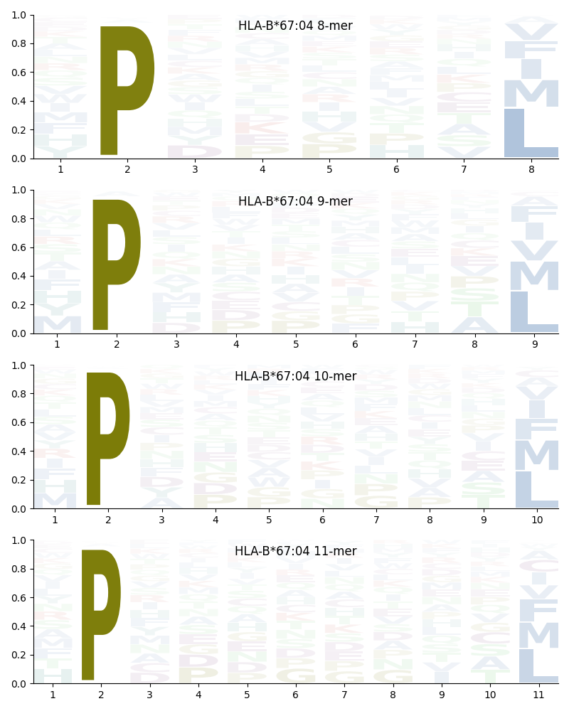 HLA-B*67:04 motif