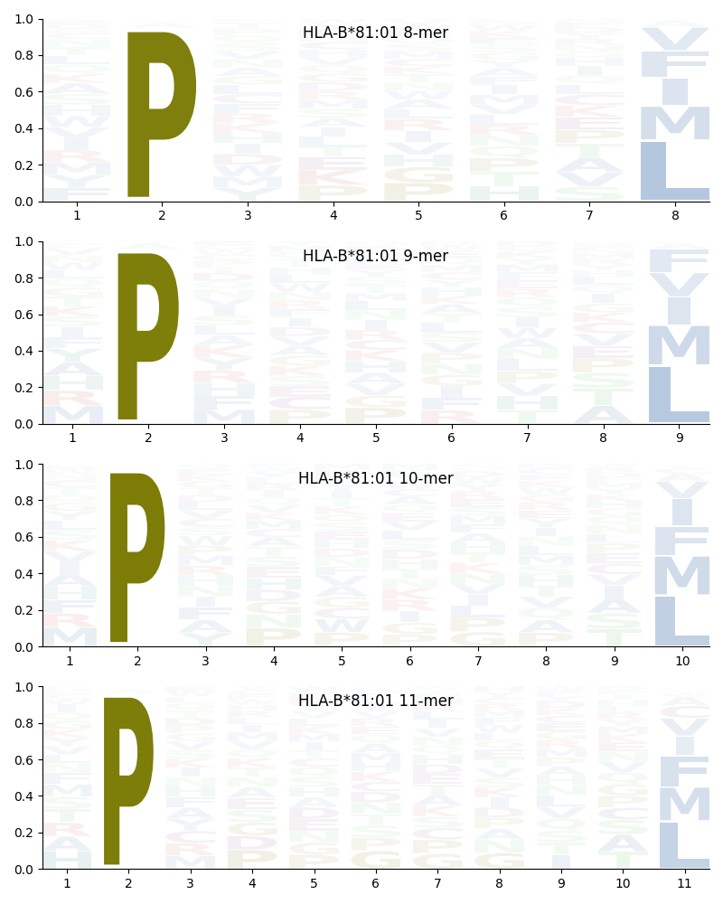 HLA-B*81:01 motif