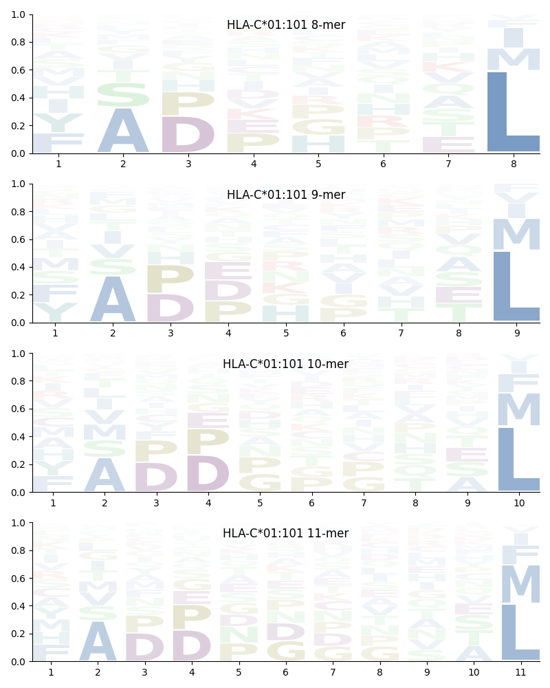 HLA-C*01:101 motif