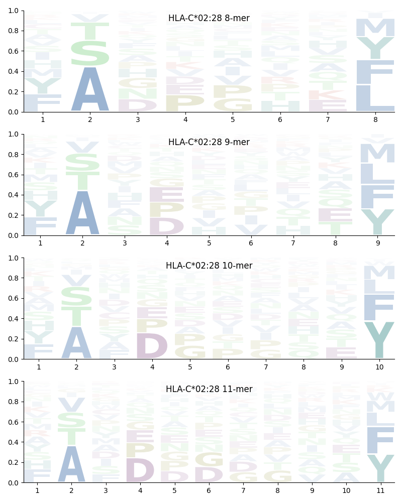 HLA-C*02:28 motif