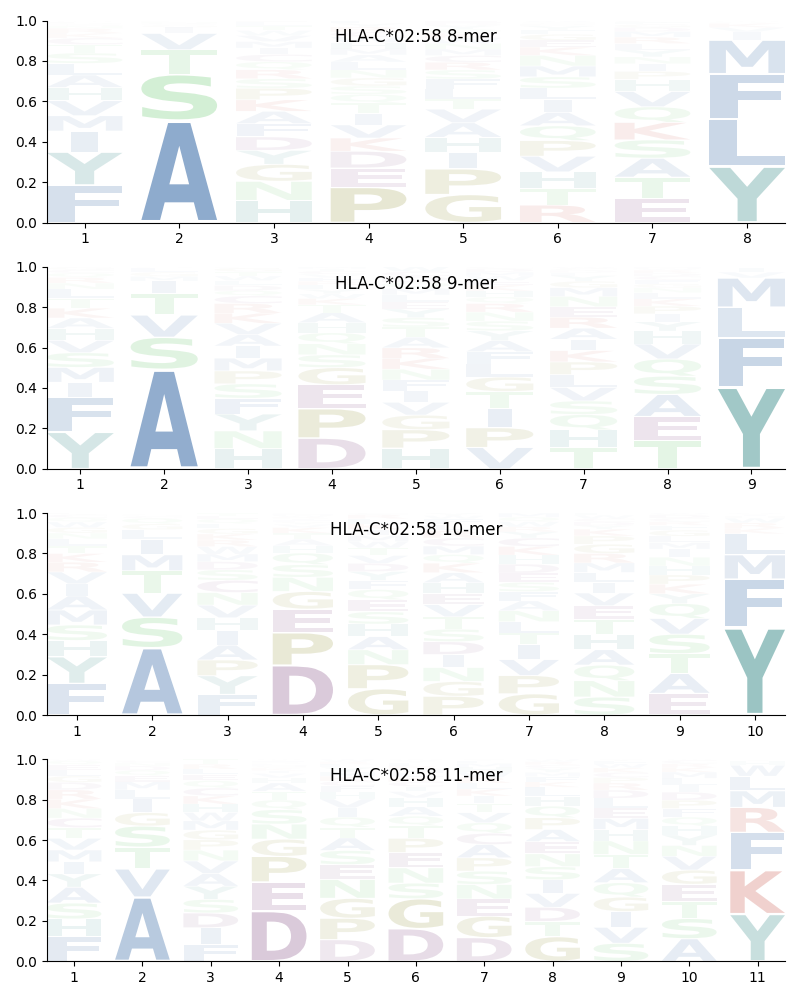 HLA-C*02:58 motif