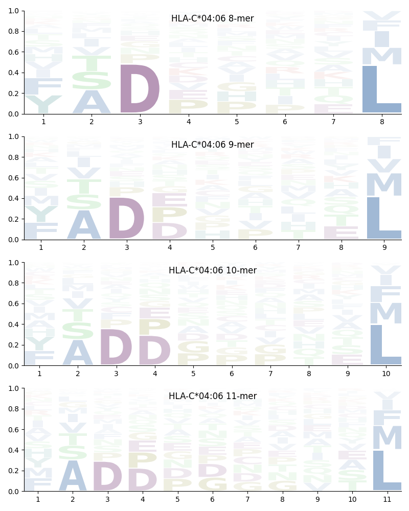 HLA-C*04:06 motif