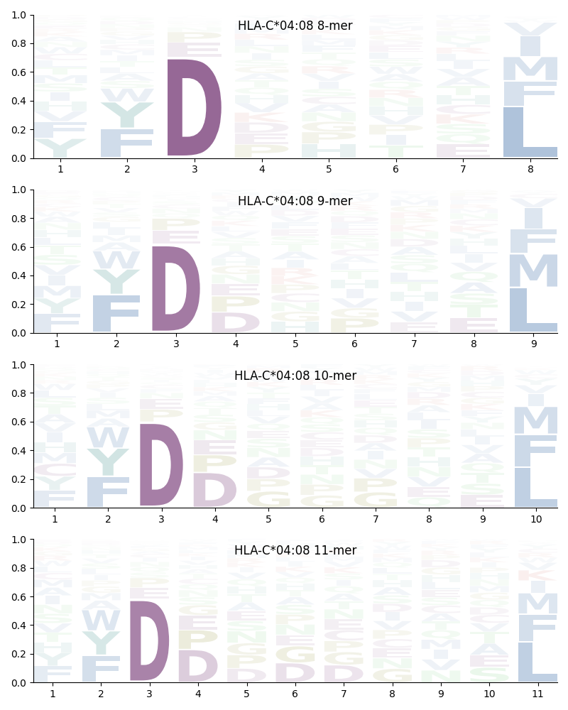 HLA-C*04:08 motif