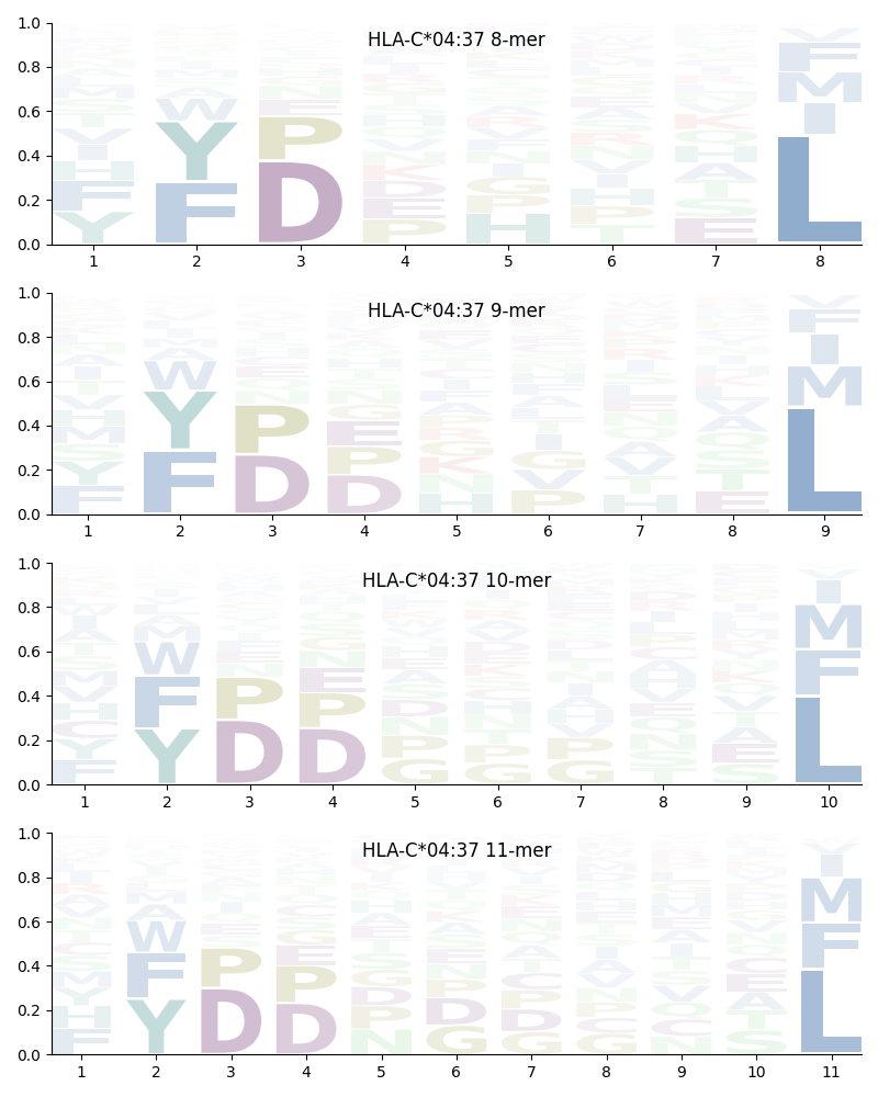 HLA-C*04:37 motif