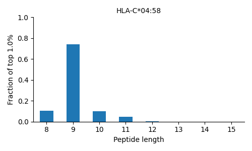HLA-C*04:58 length distribution