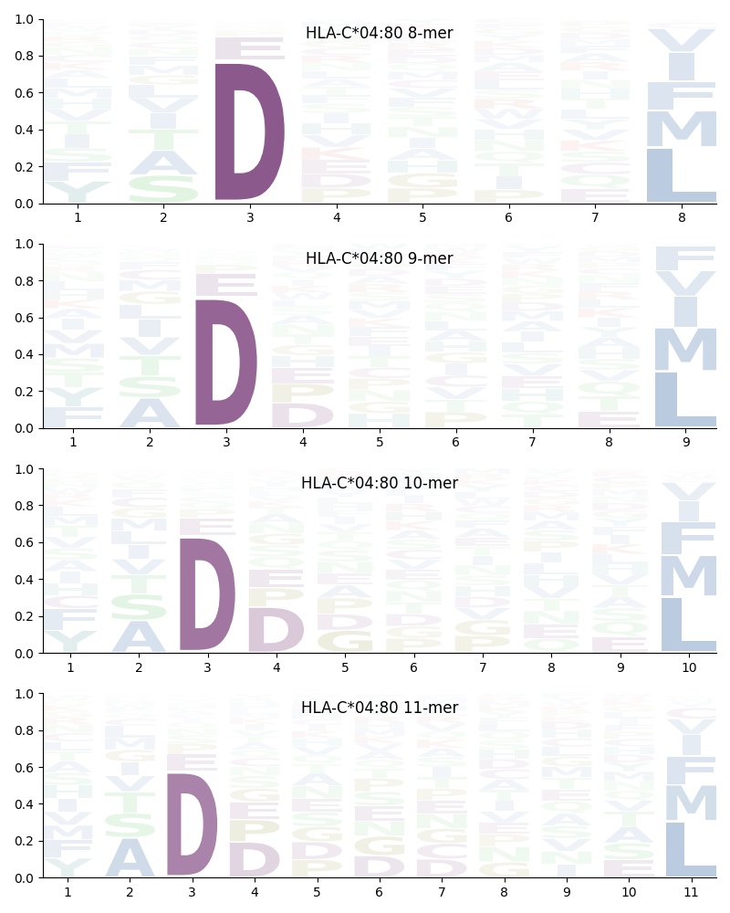 HLA-C*04:80 motif