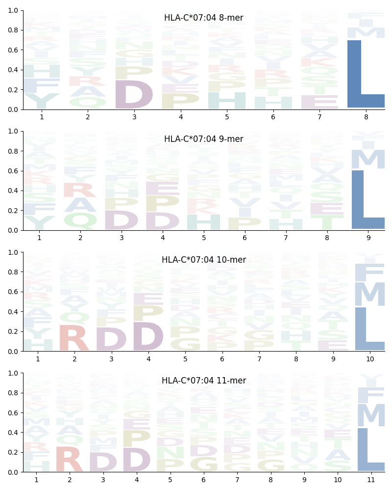 HLA-C*07:04 motif