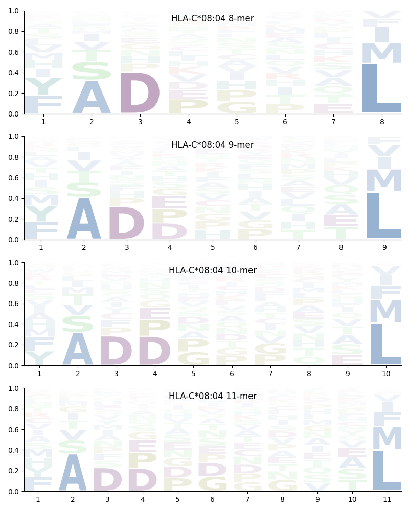 HLA-C*08:04 motif