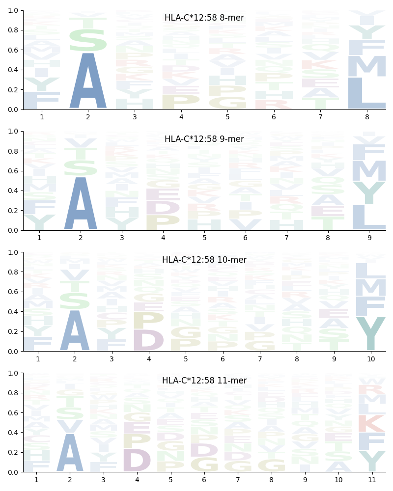 HLA-C*12:58 motif