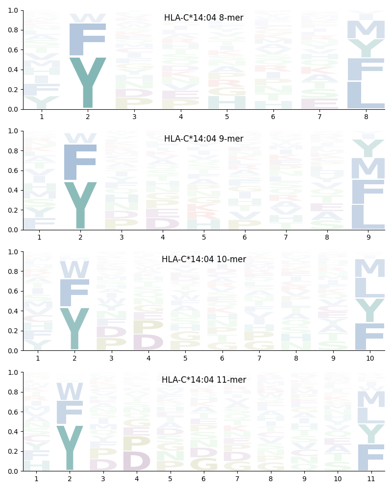 HLA-C*14:04 motif