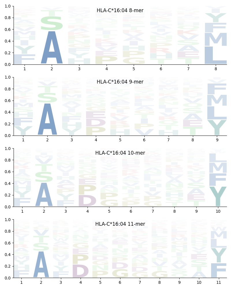 HLA-C*16:04 motif