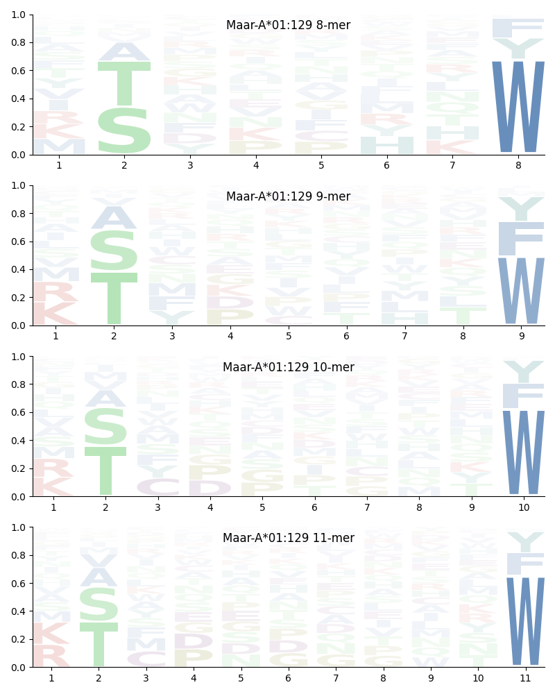 Maar-A*01:129 motif