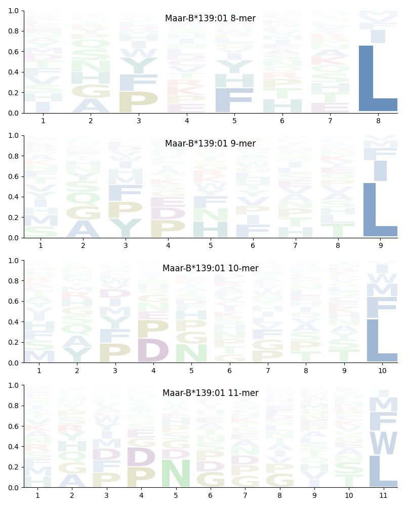 Maar-B*139:01 motif