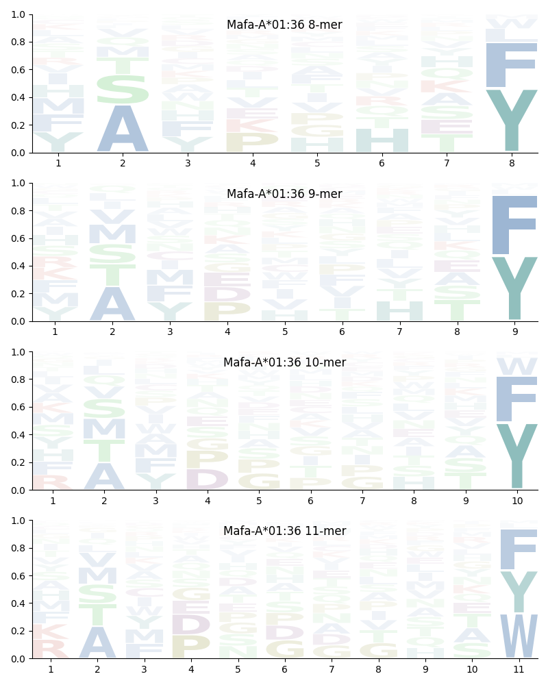 Mafa-A*01:36 motif