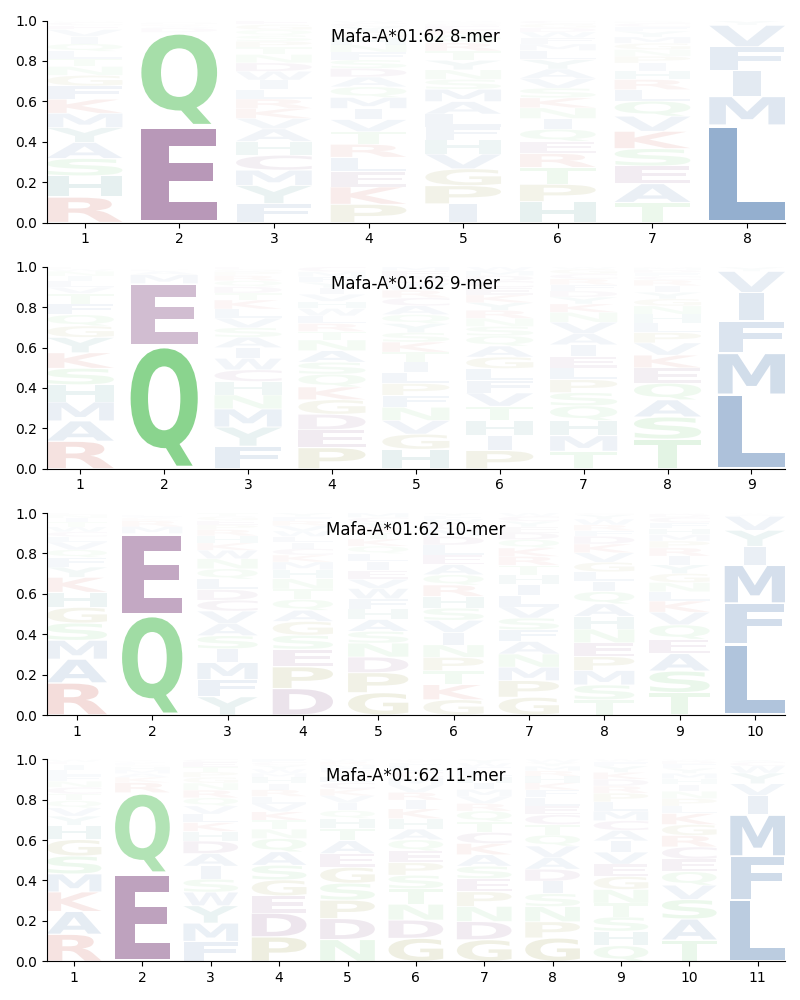 Mafa-A*01:62 motif